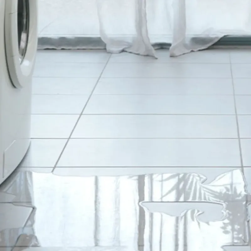 Appliance Leak Cleanup in Madison, IL