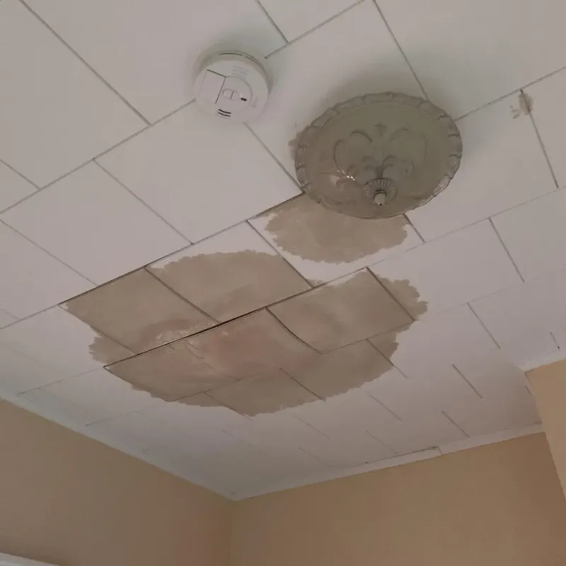 Ceiling Water Damage Repair in Madison, IL