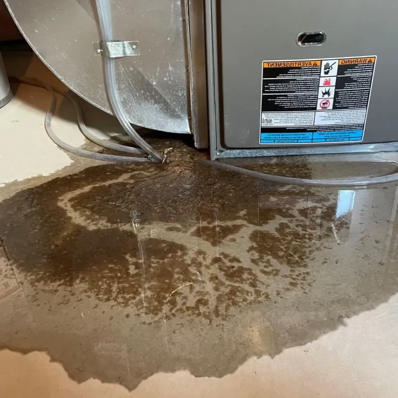 Pipe Burst and Leak Restoration in Madison, IL