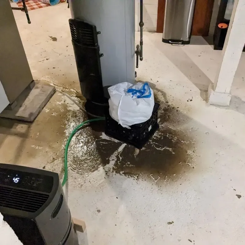 Sewage Backup Cleanup Service in Madison, IL